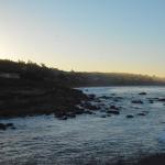 Cambria_0588 (November 02, 2013)
